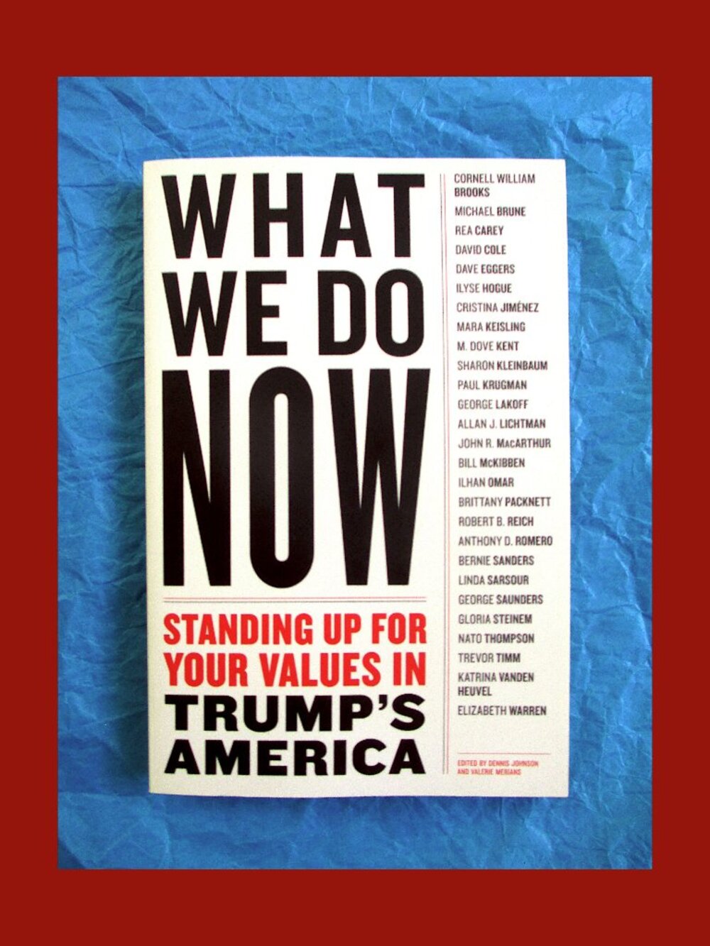 Book - What We Do Now: Standing up for Your Values....